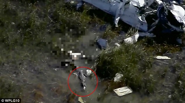 Hình ảnh con cá sấu lảng vảng quanh hiện trường chiếc máy bay rơi.