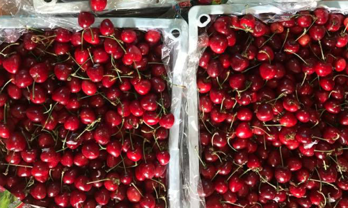 Cherry được người bán quảng cáo nhập từ Sơn Đông (Trung Quốc) giá dao động 140.000 - 280.000 đồng một kg tuỳ loại.