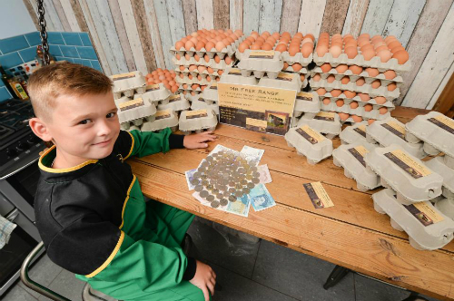 Junior Wyatt rất hào hứng khi kiếm được tiền từ việc bán trứng gà. Ảnh: NWNS.