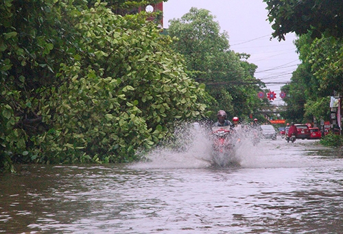 TP Hà Tĩnh một số cây gãy đổ, nhiều tuyến đường bị ngập. Ảnh: Đức Hùng.