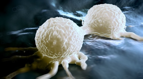 
Tế bào ung thư biết cách khống chế tế bào lành tính để tạo virus giả. Ảnh: Thinkstock Images.
