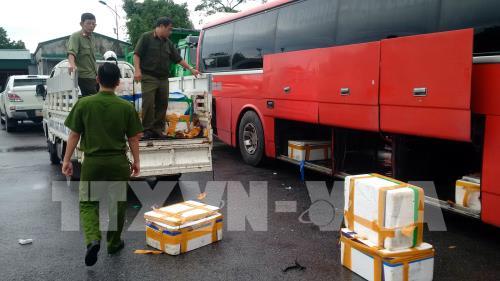 Lực lượng chức năng kiểm tra xe ô tô biển kiểm soát 14B – 003.69 và thu giữ số hàng cá đông lạnh đựng trong các thùng xốp. Ảnh: Nguyễn Hoàng - TTXVN