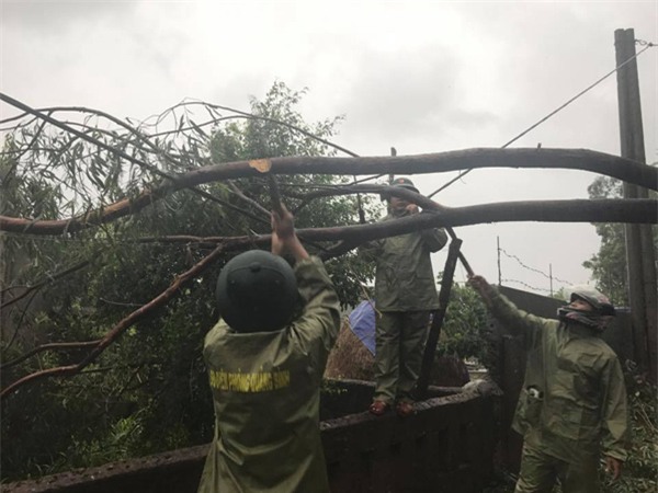 Tại Quảng Bình, toàn tỉnh đã mất điện, cây cối gãy đổ ngổn ngang trên đường (Ảnh: Nhà báo Vĩnh Quý - Báo Quảng Bình)
