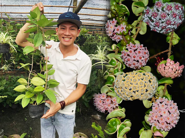 Anh Lê Hoàng Phú, sinh năm 1990 ở Phú Vang – tỉnh Thừa Thiên Huế hiện đang sở hữu khu vườn rộng 2000m2 trồng hoa và cây ăn quả các loại, trong đó, anh dành nửa diện tích khu vườn để trồng các loại hoa mà mình yêu thích, đặc biệt là hoa Cẩm cù.