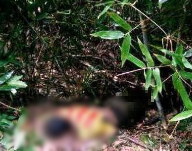 Hiện trường ph&aacute;t hiện thi thể nạn nh&acirc;n - (Ảnh: Phan S&aacute;ng)