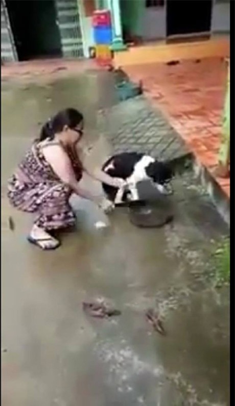 
Người phụ nữ dùng dao chặt chân chú chó gây bão dư luận.
