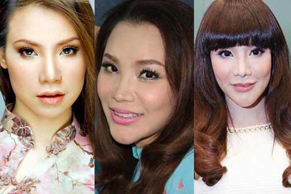 Sau khi chỉnh sửa nhan sắc, 2009 là thời điểm đẹp nhất của Hồ Quỳnh Hương với khuôn mặt thon gọn vừa phải, chiếc mũi cao tự nhiên và ưa nhìn (ảnh đầu tiên bên trái). Tuy nhiên sau đó, phần cằm sau những lần chỉnh sửa ngày càng trở nên dài, nhọn và đôi khi còn gồ ghề bất thường.