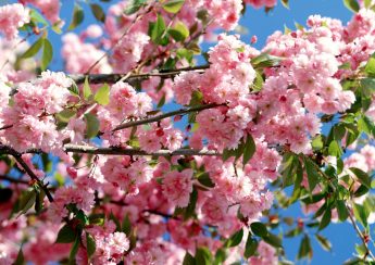 Biết trước lịch nghỉ tết người lao động có thể tự sắp xếp kế hoạch công việc cho mình. Hình minh họa