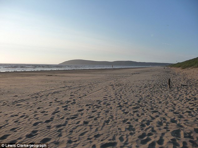 
Một người dắt chó đi dạo ở Anh đã phát hiện điều kinh khủng trên bãi biển (Ảnh minh họa)
