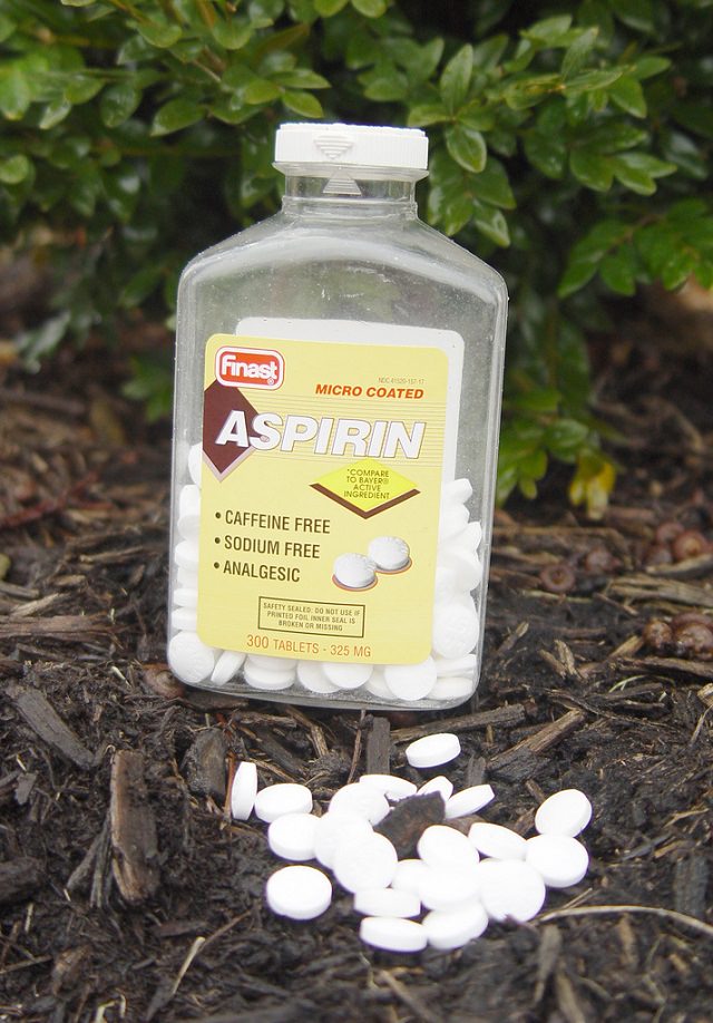 Aspirin giúp cây trồng tăng trưởng nhanh hơn.