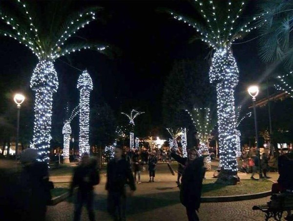 Các cây cọ được trang trí đèn sáng ở thị trấn Citanova Marche khiến người ta nghĩ ngay đến bộ phận nhạy cảm. Ảnh: Twitter