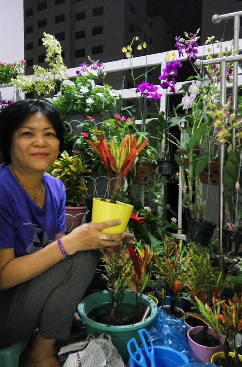 Cô Hoàng Kim, 55 tuổi, dành nhiều thời gian sau khi nghỉ hưu để trồng lan. Cô tận dụng góc ban công rộng 3 m2 của căn hộ trên tầng 11 làm vườn. Mỗi lần đi chợ, cô mua khoảng 4-5 chậu lan về trồng. Chỉ sau 6 tháng, khu vườn mini của cô đã chật không còn chỗ để.