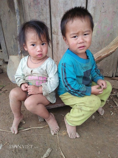
Bản Hua Ty, x&atilde; Co Mạ, huyện Thuận Ch&acirc;u (Sơn La) nằm ở độ cao 1.600m so với mặt nước biển, quanh năm được bao phủ bởi m&acirc;y m&ugrave;. D&acirc;n cư 100% l&agrave; người d&acirc;n tộc M&ocirc;ng sinh sống. L&uacute;a nương với ng&ocirc;, sắn l&agrave; c&acirc;y lương thực ch&iacute;nh để mưu sinh. Nhiều gia đ&igrave;nh rất kh&oacute; khăn, ho&agrave;n cảnh, v&agrave;o m&ugrave;a Đ&ocirc;ng gi&aacute; r&eacute;t như n&agrave;y,con em đồng b&agrave;o M&ocirc;ng ở đ&acirc;y kh&ocirc;ng c&oacute; đủ quần &aacute;o để mặc. Nhiều trẻ em phải chịu đựng những c&aacute;i r&eacute;t lạnh thấu xương khiến to&agrave;n th&acirc;n t&iacute;m t&aacute;i, nứt nẻ.
