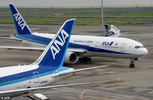 M&aacute;y bay của All Nippon Airways.