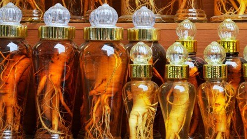 Loại s&acirc;m Mỹ 20 năm tuổi l&agrave; mặt h&agrave;ng c&oacute; gi&aacute; trị cao tương đương với đ&aacute; qu&yacute; hoặc t&aacute;c phẩm nghệ thuật. Ảnh: Health Line.