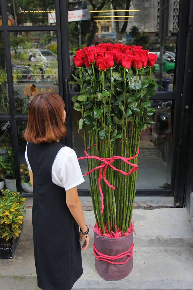 Hoa hồng đỏ Ecuador cành dài đến 1,5m đang được nhiều người săn mua dịp Valentine