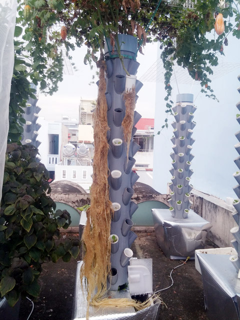 S&acirc;n thượng nh&agrave; anh Sơn rộng 21 m&sup2; nhưng diện t&iacute;ch vườn chỉ chiếm 10 m&sup2;.