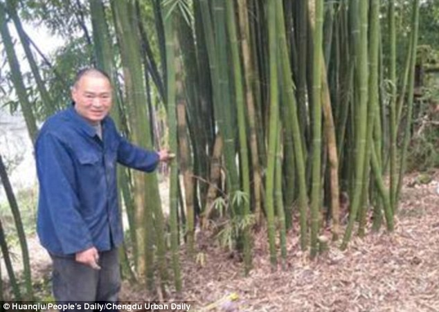 
Chỗ c&ocirc; b&eacute; bị tr&oacute;i nằm trong nghĩa trang của một ng&ocirc;i l&agrave;ng.
