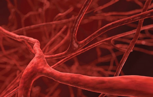 
Các mạch máu giãn nở nhiều hơn khi quan hệ tình dục. Ảnh: Prevention.
