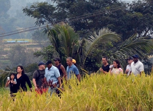 
Obama đi bộ bên những cánh đồng lúa Indonesia.
