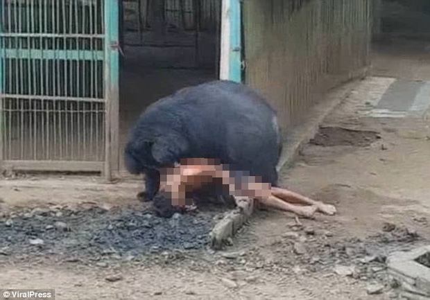 
Rất may mắn, anh Naiphum Promratee đ&atilde; sống s&oacute;t v&agrave; b&igrave;nh phục sau vụ tấn c&ocirc;ng.
