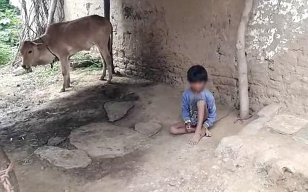 
C&ograve;n Umesh ng&agrave;y ng&agrave;y bị &ocirc;ng b&agrave; tr&oacute;i v&agrave;o chuồng b&ograve;.
