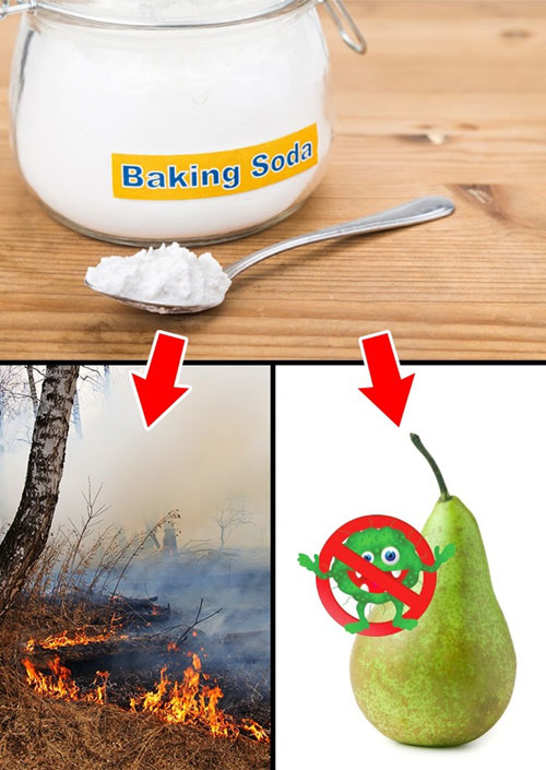 Baking soda có trong thành phần chất dập lửa, vì thế, nó có thể khống chế được đám cháy rừng nhỏ. Bạn cũng có thể khử khuẩn trên hoa quả hay rau xanh bằng cách pha một thìa baking soda với nước, sau đó nhúng rau, quả vào.