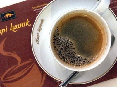Giá thành của một ly cà phê Chồn trên thế giới dao động từ 30 – 100 USD