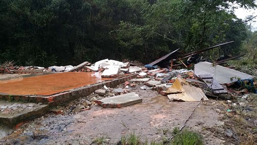 Bão 12 tàn phá Lâm Đồng: Nước lũ ầm ầm, người dân leo lên cây kêu cứu