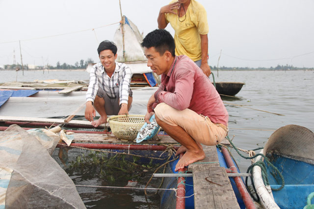 Với kiến thức học được cộng với sự nhanh nhẹn, chàng trai trẻ nuôi cá rất thành công. Tiếc thay, vì sự cố môi trường biển do Formosa gây ra nên không lời lãi được bao nhiêu.