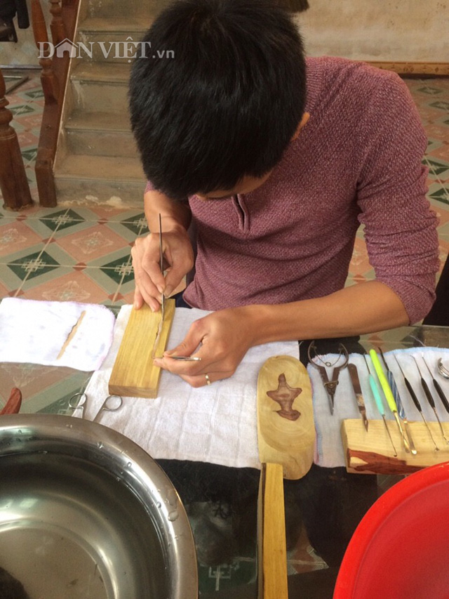 Anh T&ugrave;ng thực hiện cấy&rdquo;ngọc v&agrave;o trai. Ảnh: Nguyễn Ho&agrave;n.