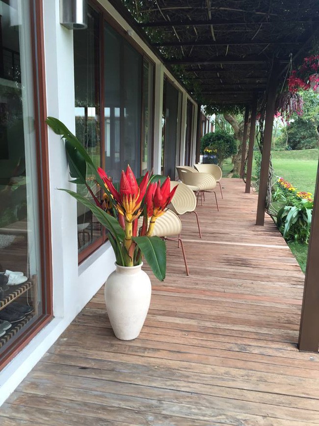 Hiên nhà rộng, tiếp nối với không gian xanh.