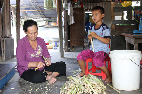 
Sự giúp bà nội bóc bồn bồn. Ảnh: Mạnh Tùng
