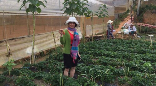 Chị Nguyễn Thị Ngọc Như (Bà Rịa – Vũng Tàu) - một du khách trong đoàn của anh Phúc cho biết, thực tế giá dâu tây trong vườn là 150.000 đồng/kg.
