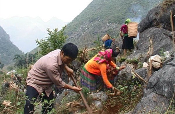 Thầy Nguyễn đi làm nương cùng dân bản Lũng Mần