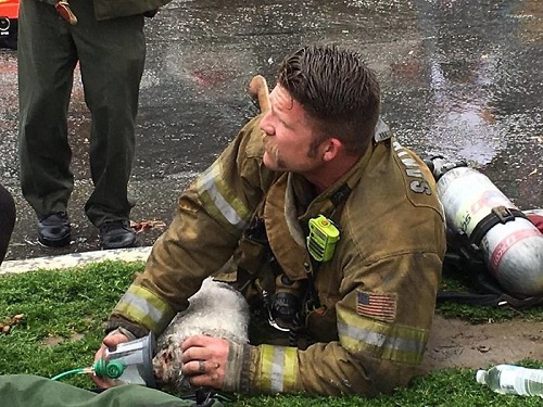 Khi Nalu được đem ra ngoài trong tình trạng ngưng thở, bất tỉnh và không hề có cử động nào, Andrew Klein, một nhân viên cứu hỏa có mặt tại hiện trường đám cháy đã quyết không bỏ cuộc.