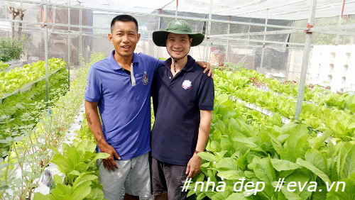 Anh Trần Đình Tri (bên trái) quyết định khởi nghiệp với mô hình trồng rau sạch thổ canh từ sáng chế độc đáo .