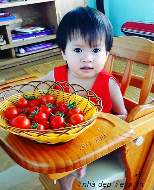 Hết tháng ở cữ, chị Kim Anh mua thùng, chậu về trồng rau để kịp có thực phẩm sạch cho con ăn dặm