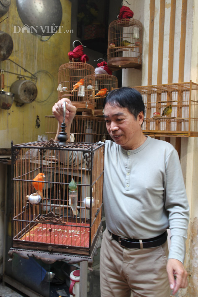 Ông Dương Toàn Vinh đánh giá nghề nuôi chim Yến cảnh có hiệu quả kinh tế cao (Ảnh: Phú Lãm).