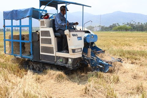 
 

 

M&aacute;y cuộn rơm.
