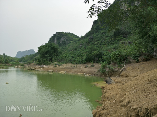 Toàn cảnh diện tích trang trại lợn rừng rộng trên 4ha của gia đình ông Lâm ở huyện Nho Quan (Ninh Bình).