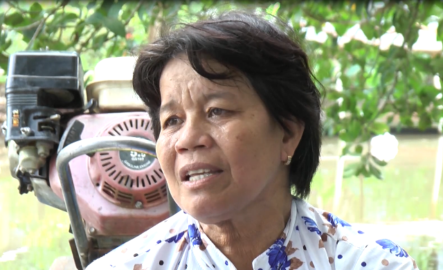 
B&agrave; Bảy đ&atilde; nhiều năm liền đưa c&aacute;c em học sinh đến trường ng&agrave;y 2 buổi nhưng kh&ocirc;ng hề nhận một đồng tiền n&agrave;o từ cha mẹ c&aacute;c b&eacute;.
