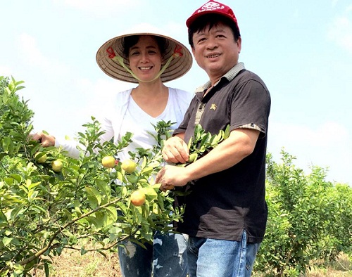 Hai vợ chồng NSƯT Chiều Xuân và nhạc sĩ Đỗ Hồng Quân về thăm khu vườn và thu hoạch hoa quả.