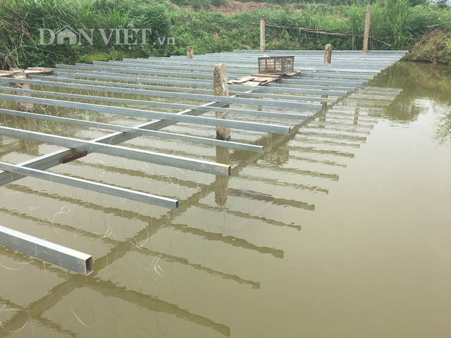 Một g&oacute;c nu&ocirc;i trai của ch&agrave;ng trai 9x Nguyễn Đ&igrave;nh T&ugrave;ng. Ảnh: Nguyễn Ho&agrave;n.