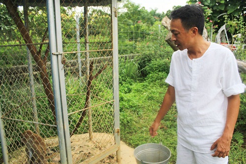 Chăn nuôi, trồng trọt là thú vui sau những ngày làm việc mệt mỏi của ca sĩ Việt Hoàn và gia đình.