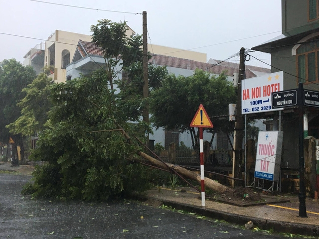 Tại Quảng Bình, ngay từ lúc bão chưa vào nhưng nhiều nơi đã tơi tả, cây xanh gãy đổ hàng loạt. Ảnh: Dân trí