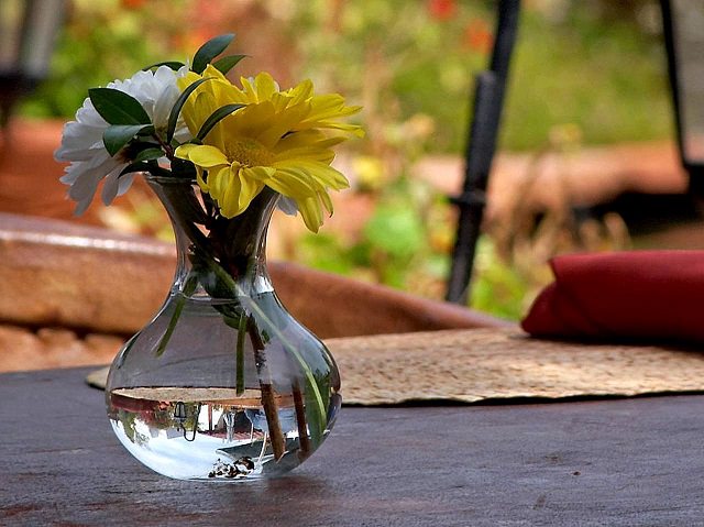 Aspirin pha trong nước cắm hoa giúp hoa tươi lâu hơn.
