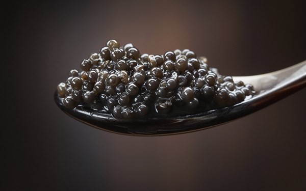 Khi nhắc đến Caviar - nhiều người sẽ nghĩ ngay đến trứng cá tầm muối - trứng cá đen - loại đắt và sang trọng nhất, là món chỉ dành cho vua chúa ngày xưa.