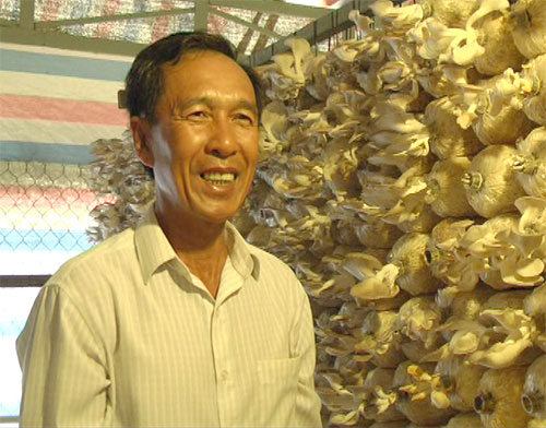 Ông Nguyễn Thanh Cước phấn khởi với nhu nhập từ 150m2 diện tích trồng nấm bào ngư xám, nấm sò trắng của gia đình.