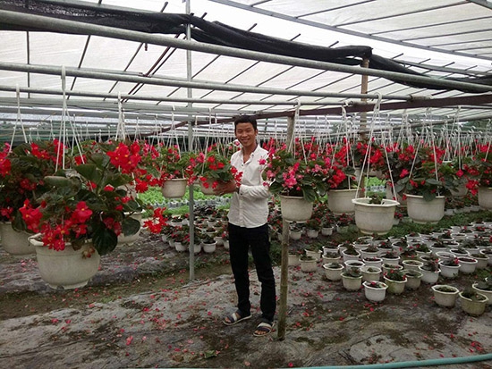 Anh Trương Công Tiền đã mạnh dạn đầu tư và trồng thử nghiệm nhiều loại hoa mới.